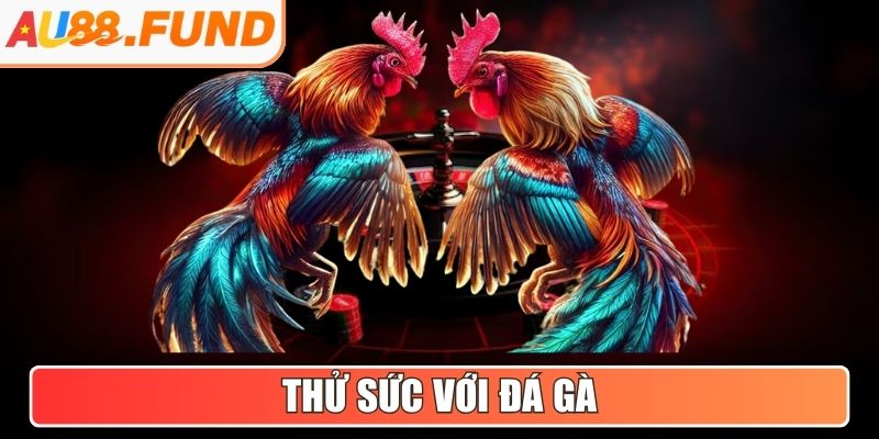 Thử sức với Đá Gà